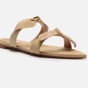 Schutz Elora Slide Sandal 6.5